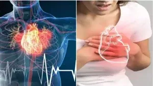 Heart-Health-Awareness-Anatomy-a